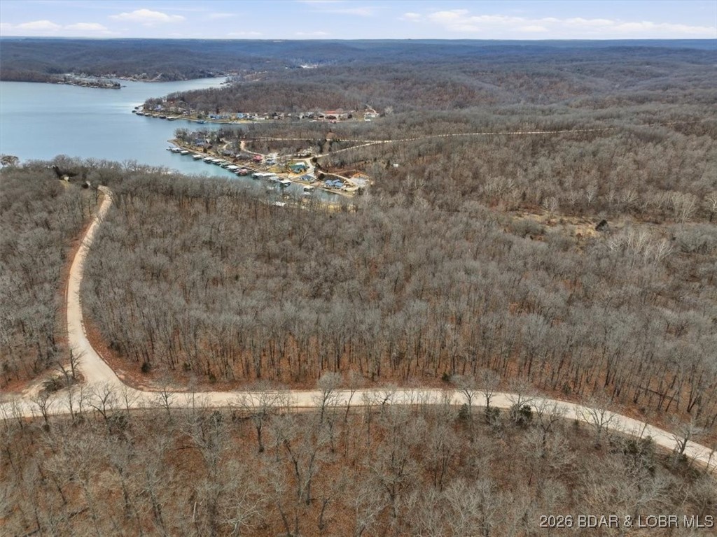 53-acres Buckridge Road Climax Springs, MO 65324 - Photo 26 of 55
