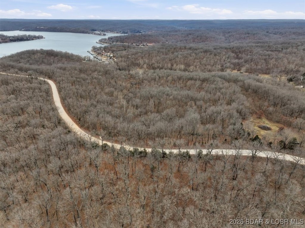 53-acres Buckridge Road Climax Springs, MO 65324 - Photo 27 of 55
