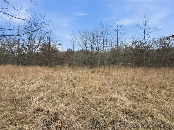 $299,900 | 53-acres Buckridge Road, Climax Springs, MO 65324