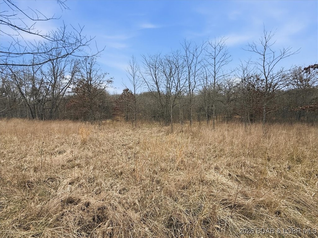 53-acres Buckridge Road Climax Springs, MO 65324 - Photo 29 of 55