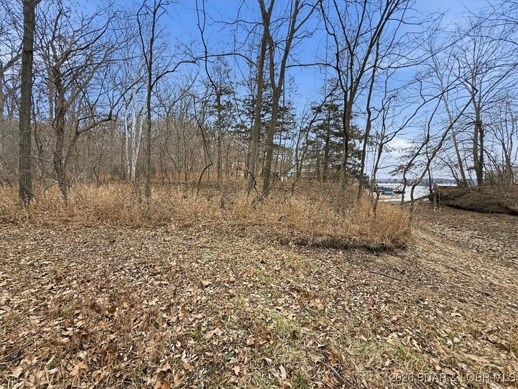 53-acres Buckridge Road Climax Springs, MO 65324 - Photo 30 of 55