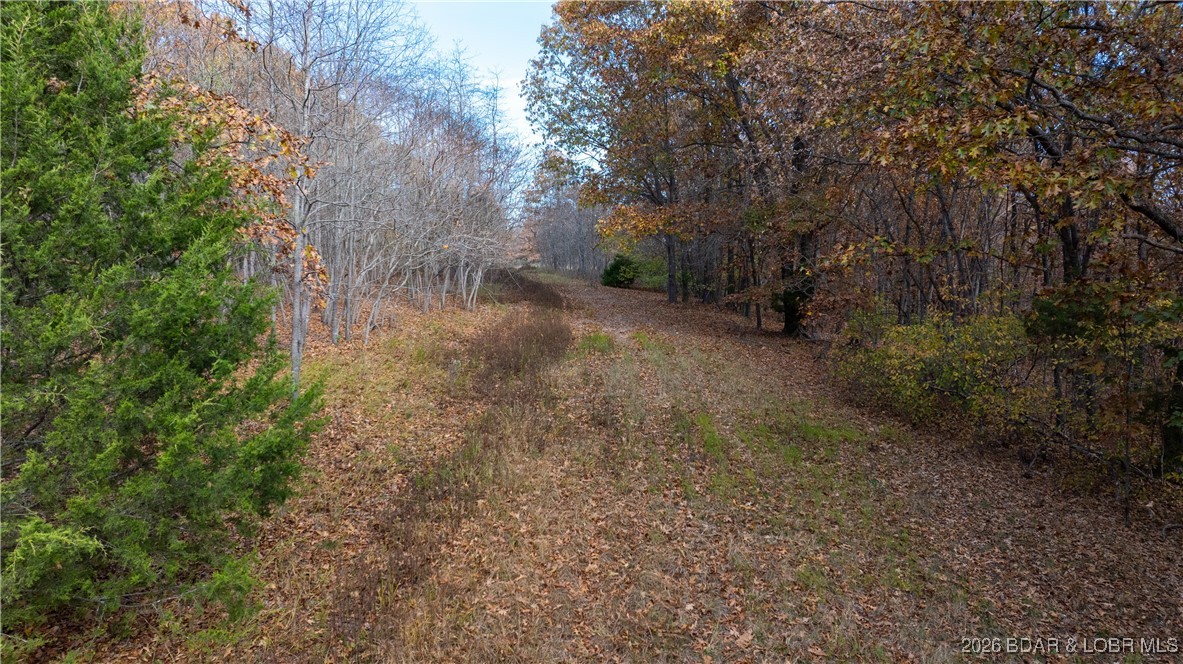 53-acres Buckridge Road Climax Springs, MO 65324 - Photo 3 of 55