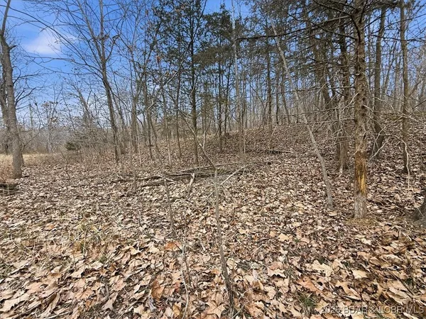 $299,900 | 53-acres Buckridge Road, Climax Springs, MO 65324