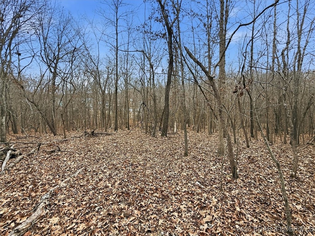 53-acres Buckridge Road Climax Springs, MO 65324 - Photo 33 of 55