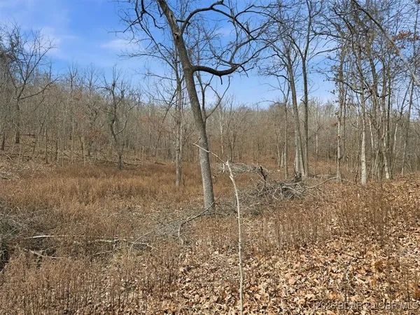 $299,900 | 53-acres Buckridge Road, Climax Springs, MO 65324