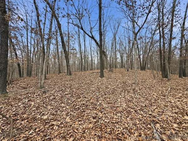 $299,900 | 53-acres Buckridge Road, Climax Springs, MO 65324