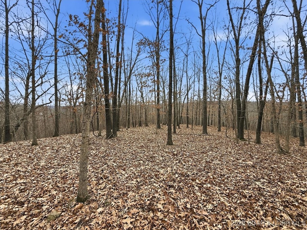 53-acres Buckridge Road Climax Springs, MO 65324 - Photo 36 of 55