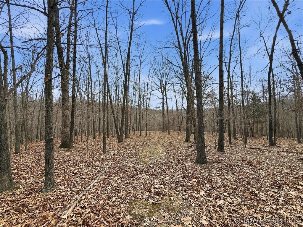 53-acres Buckridge Road Climax Springs, MO 65324 - Photo 37 of 55