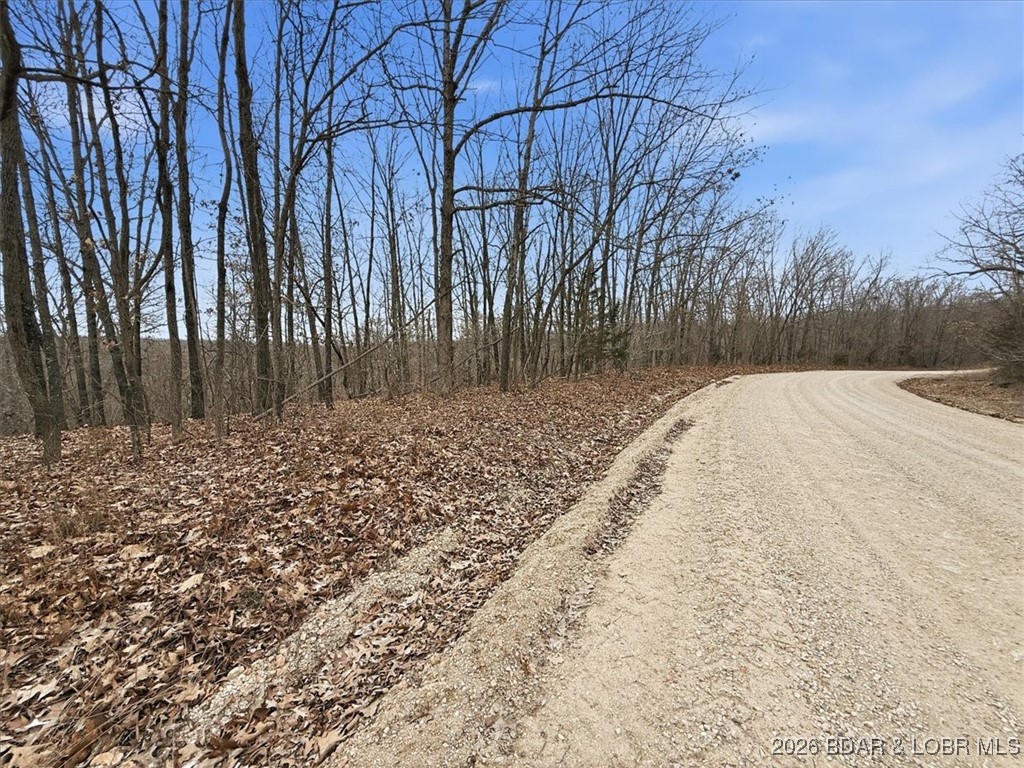 53-acres Buckridge Road Climax Springs, MO 65324 - Photo 38 of 55