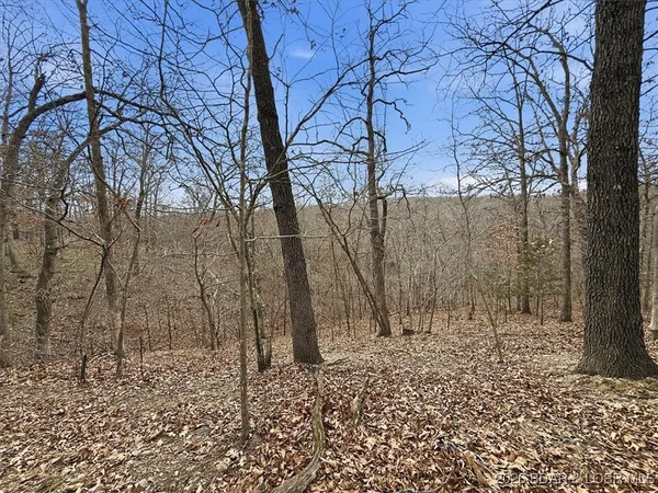 $299,900 | 53-acres Buckridge Road, Climax Springs, MO 65324