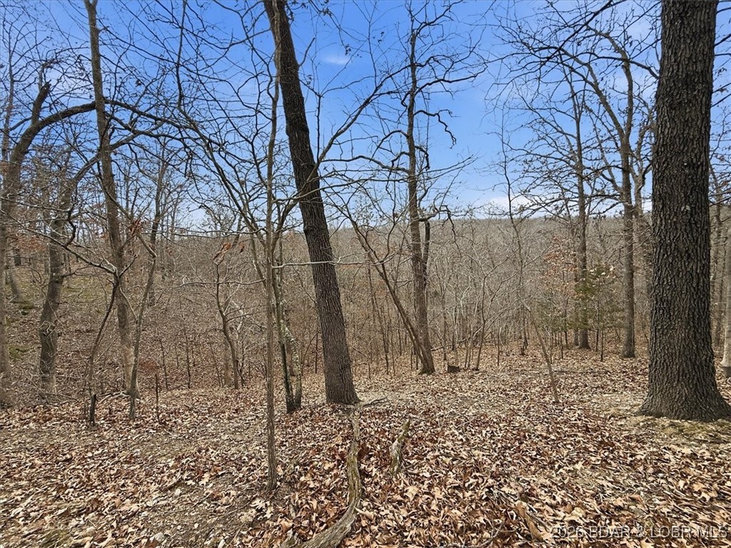 53-acres Buckridge Road Climax Springs, MO 65324 - Photo 40 of 55