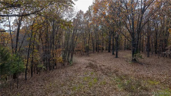 $299,900 | 53-acres Buckridge Road, Climax Springs, MO 65324