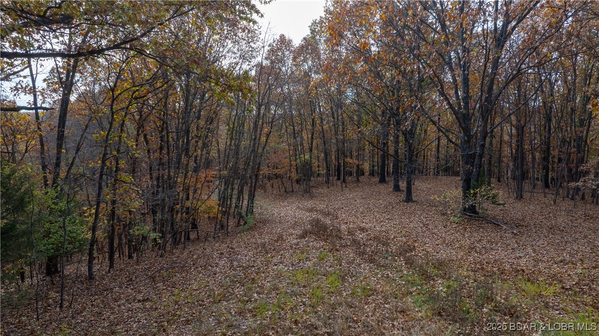 53-acres Buckridge Road Climax Springs, MO 65324 - Photo 4 of 55