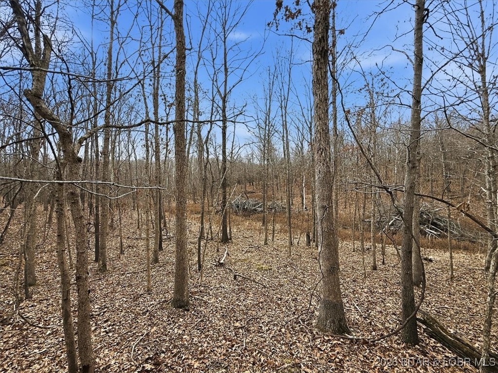 53-acres Buckridge Road Climax Springs, MO 65324 - Photo 41 of 55