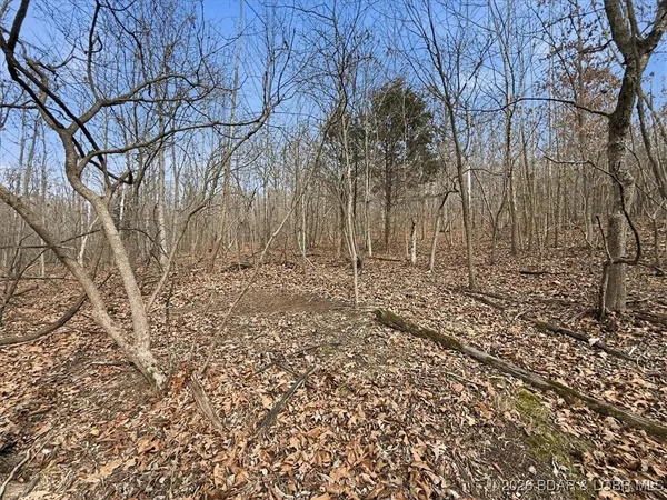 $299,900 | 53-acres Buckridge Road, Climax Springs, MO 65324