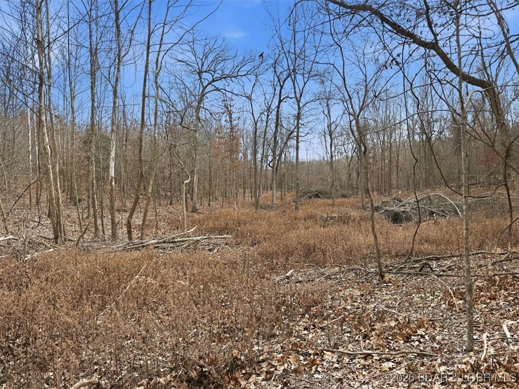 53-acres Buckridge Road Climax Springs, MO 65324 - Photo 43 of 55