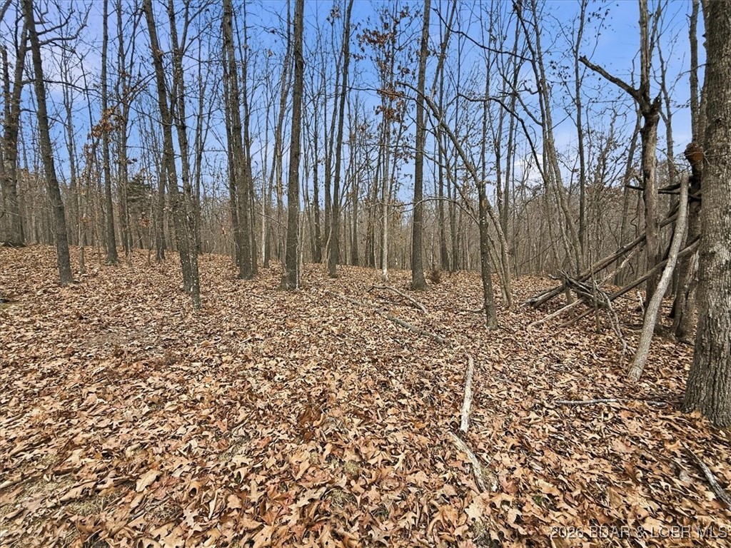 53-acres Buckridge Road Climax Springs, MO 65324 - Photo 44 of 55