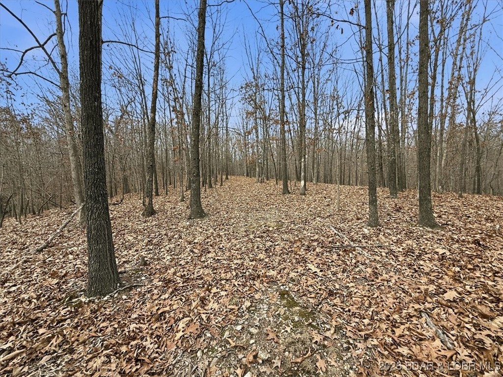 53-acres Buckridge Road Climax Springs, MO 65324 - Photo 45 of 55
