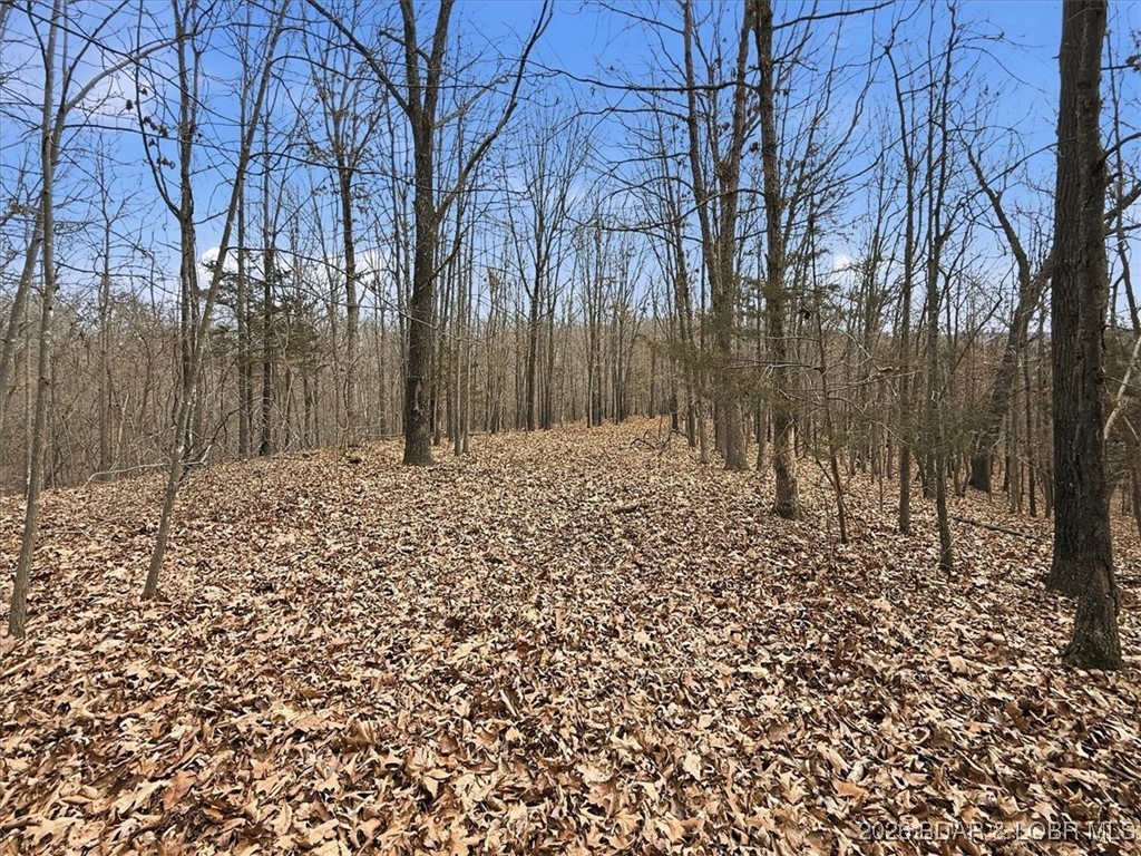 53-acres Buckridge Road Climax Springs, MO 65324 - Photo 46 of 55