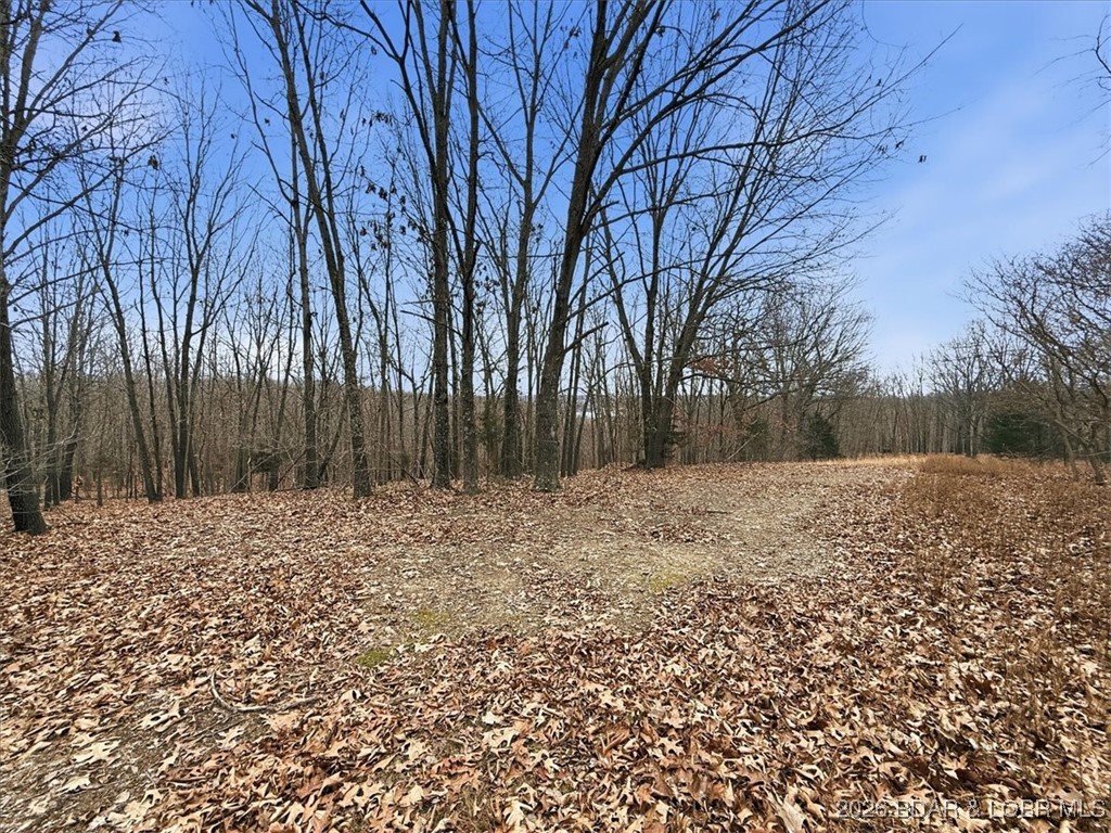 53-acres Buckridge Road Climax Springs, MO 65324 - Photo 47 of 55