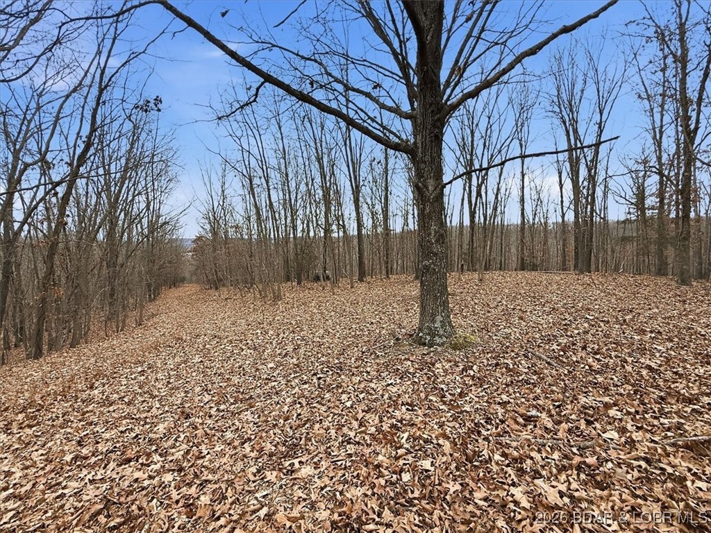 53-acres Buckridge Road Climax Springs, MO 65324 - Photo 48 of 55