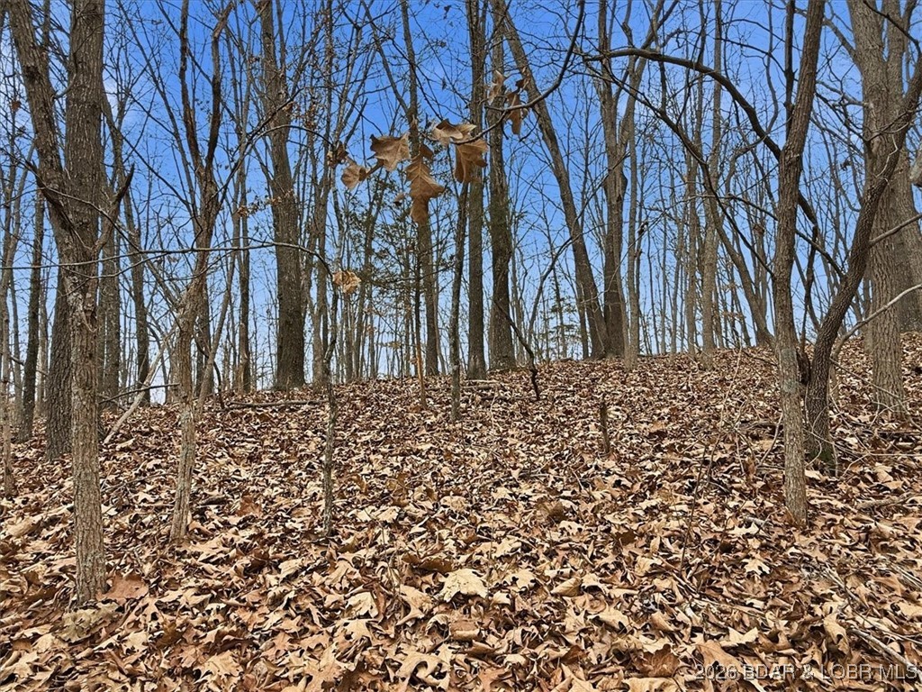 53-acres Buckridge Road Climax Springs, MO 65324 - Photo 49 of 55