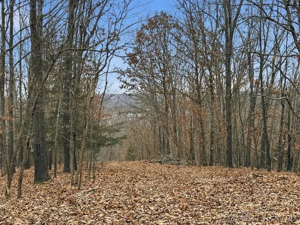 $299,900 | 53-acres Buckridge Road, Climax Springs, MO 65324