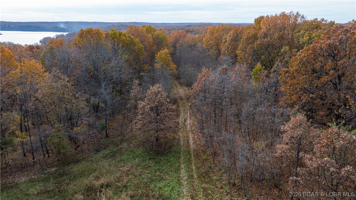 53-acres Buckridge Road Climax Springs, MO 65324 - Photo 5 of 55