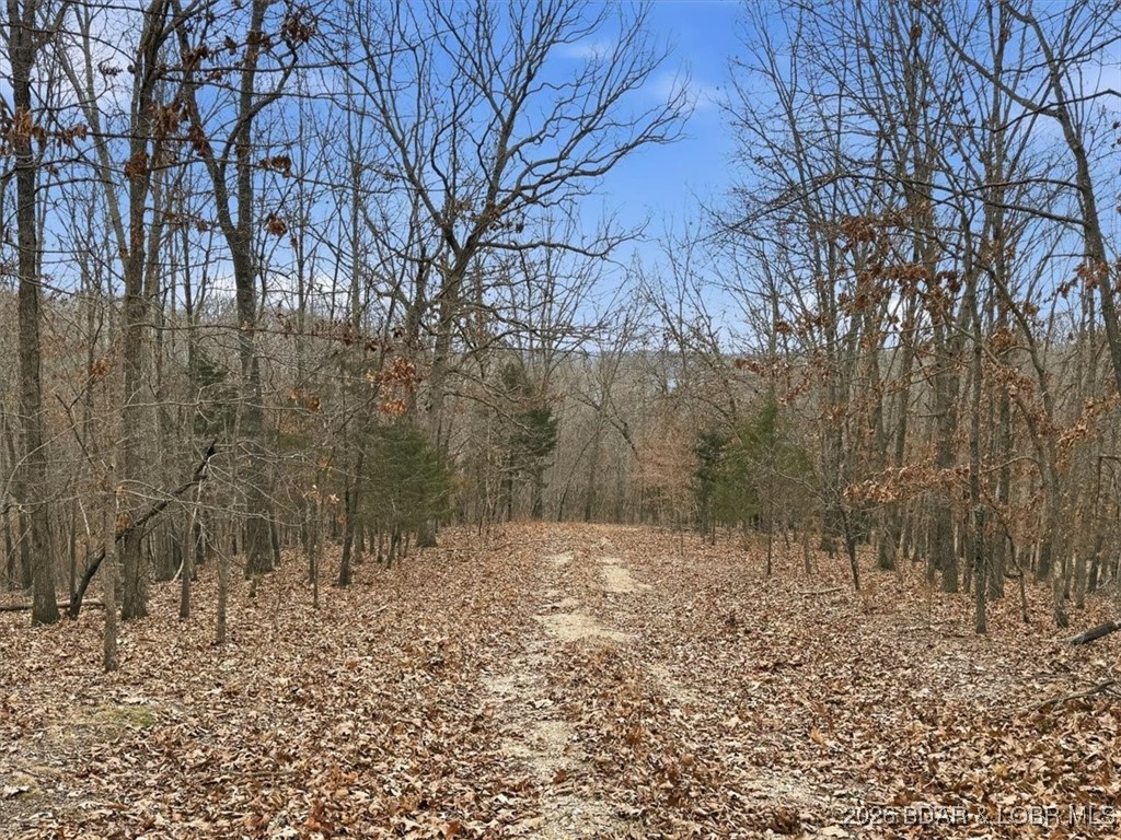 53-acres Buckridge Road Climax Springs, MO 65324 - Photo 51 of 55