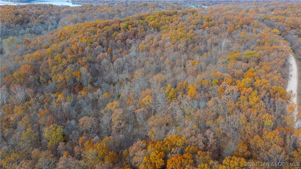 53-acres Buckridge Road Climax Springs, MO 65324 - Photo 52 of 55