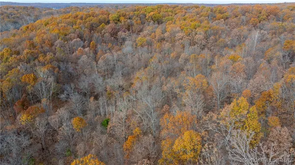 $299,900 | 53-acres Buckridge Road, Climax Springs, MO 65324
