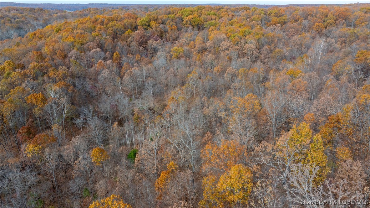 53-acres Buckridge Road Climax Springs, MO 65324 - Photo 53 of 55