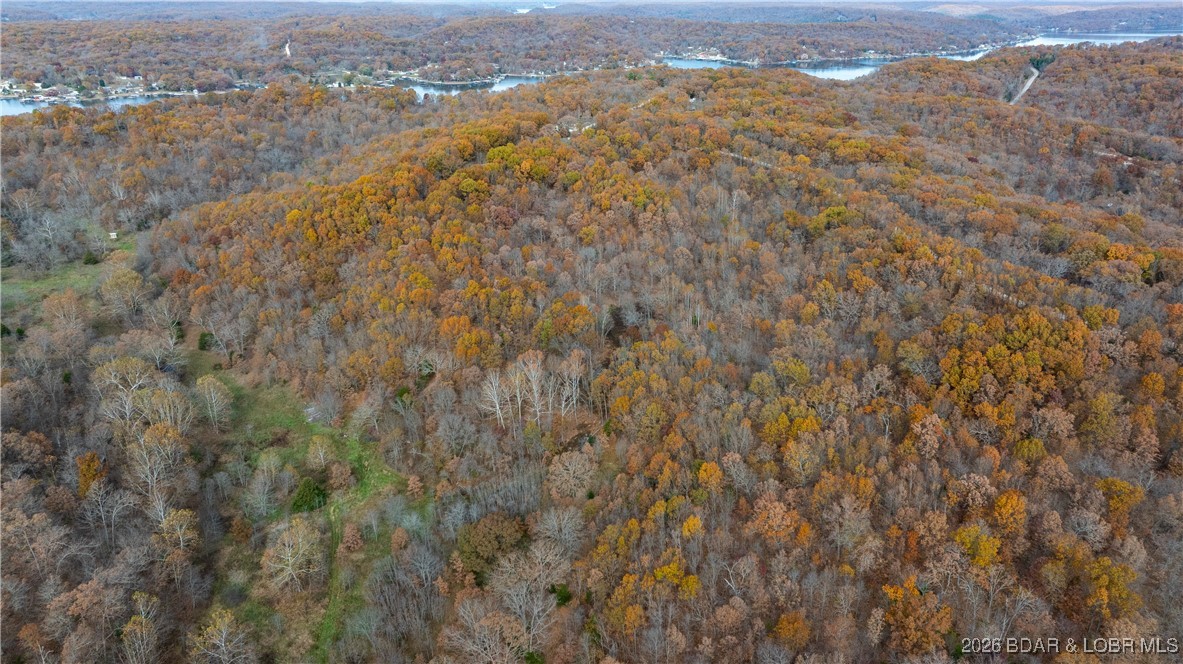 53-acres Buckridge Road Climax Springs, MO 65324 - Photo 54 of 55