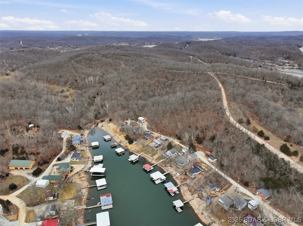 53-acres Buckridge Road Climax Springs, MO 65324 - Photo 6 of 55