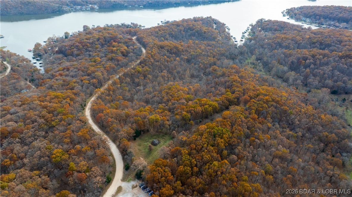 53-acres Buckridge Road Climax Springs, MO 65324 - Photo 8 of 55
