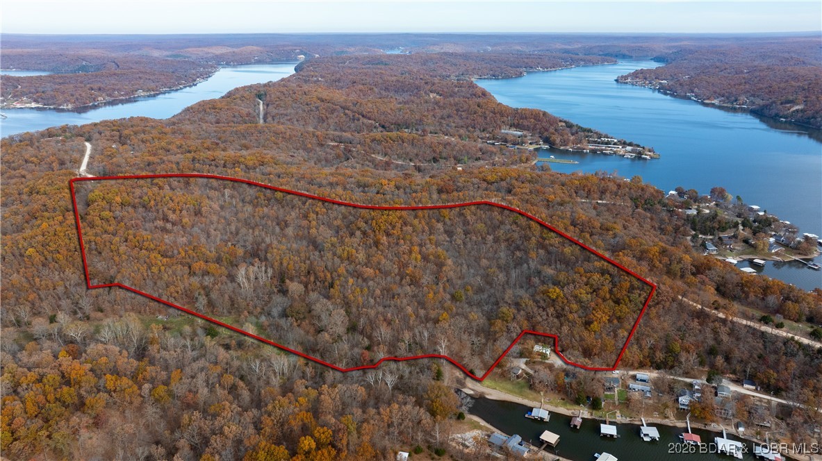 53-acres Buckridge Road Climax Springs, MO 65324 - Photo 9 of 55