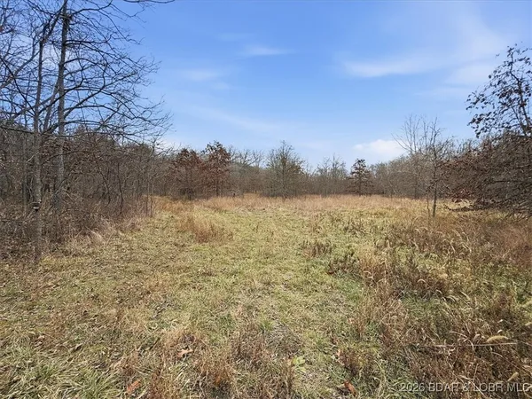 $299,900 | 53-acres Buckridge Road, Climax Springs, MO 65324
