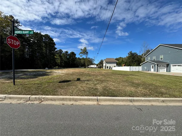 a view of a back yard of the house