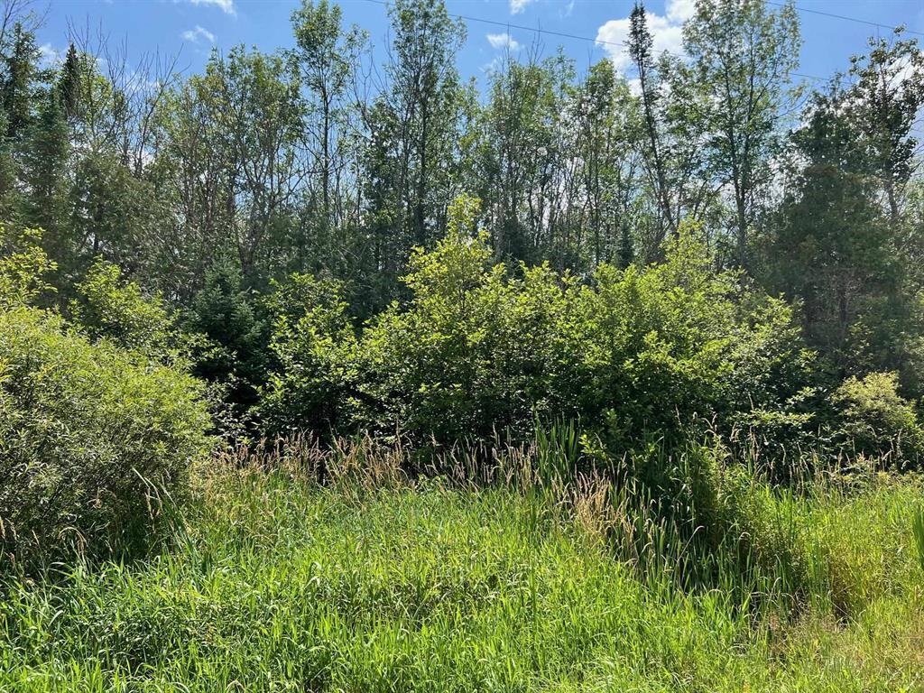 Aderman Lane Daggett, MI 49821 - Photo 2 of 7