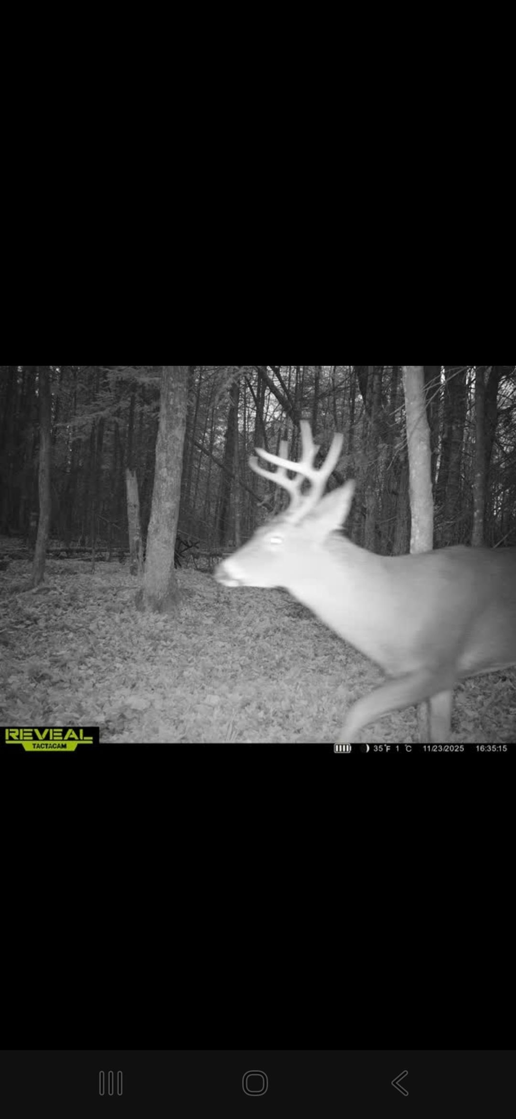 Aderman Lane Daggett, MI 49821 - Photo 3 of 7