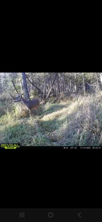 $94,900 | Aderman Lane, Daggett, MI 49821