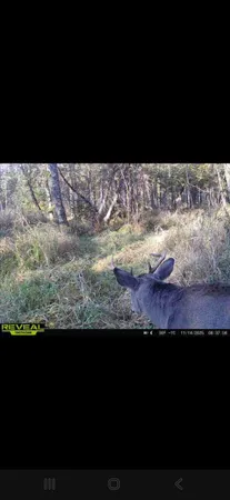 $94,900 | Aderman Lane, Daggett, MI 49821