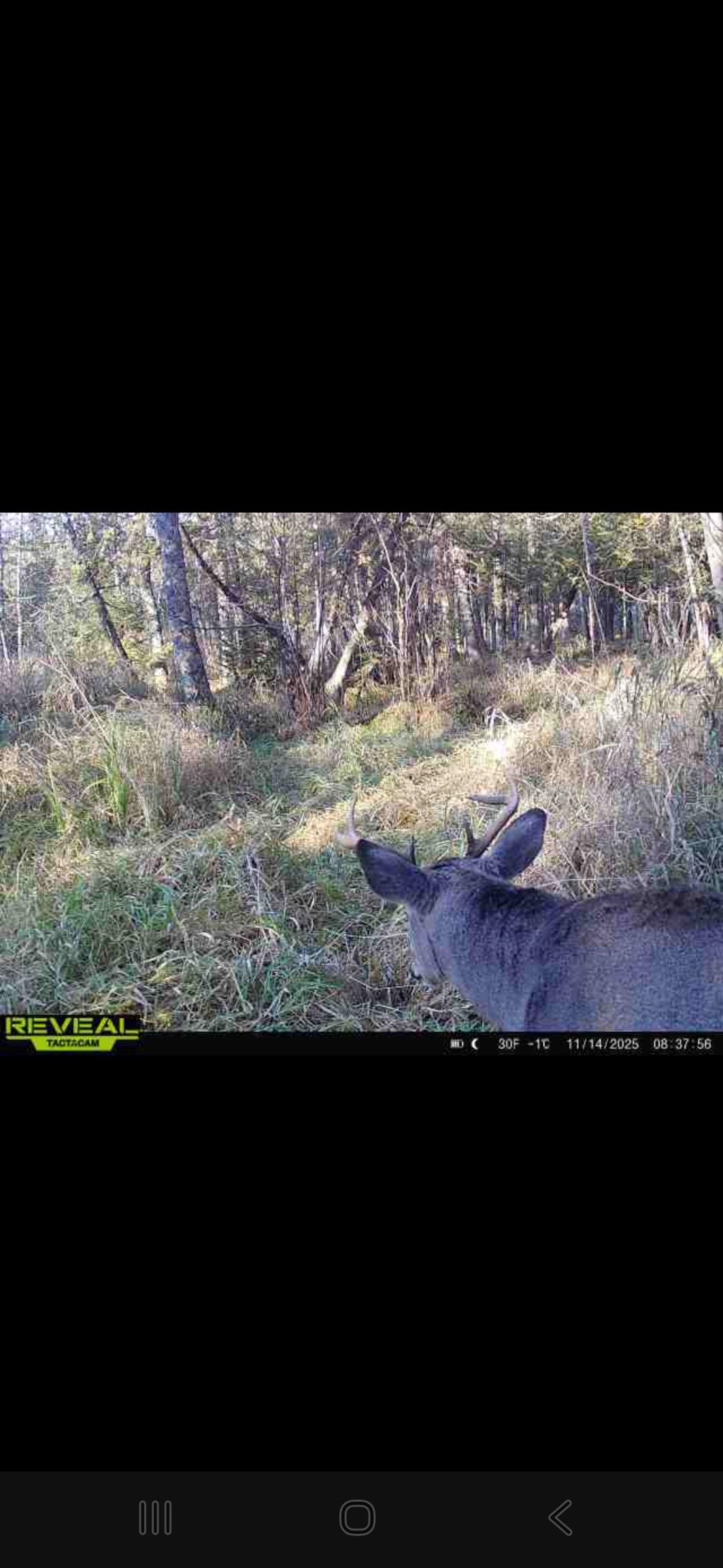 Aderman Lane Daggett, MI 49821 - Photo 5 of 7