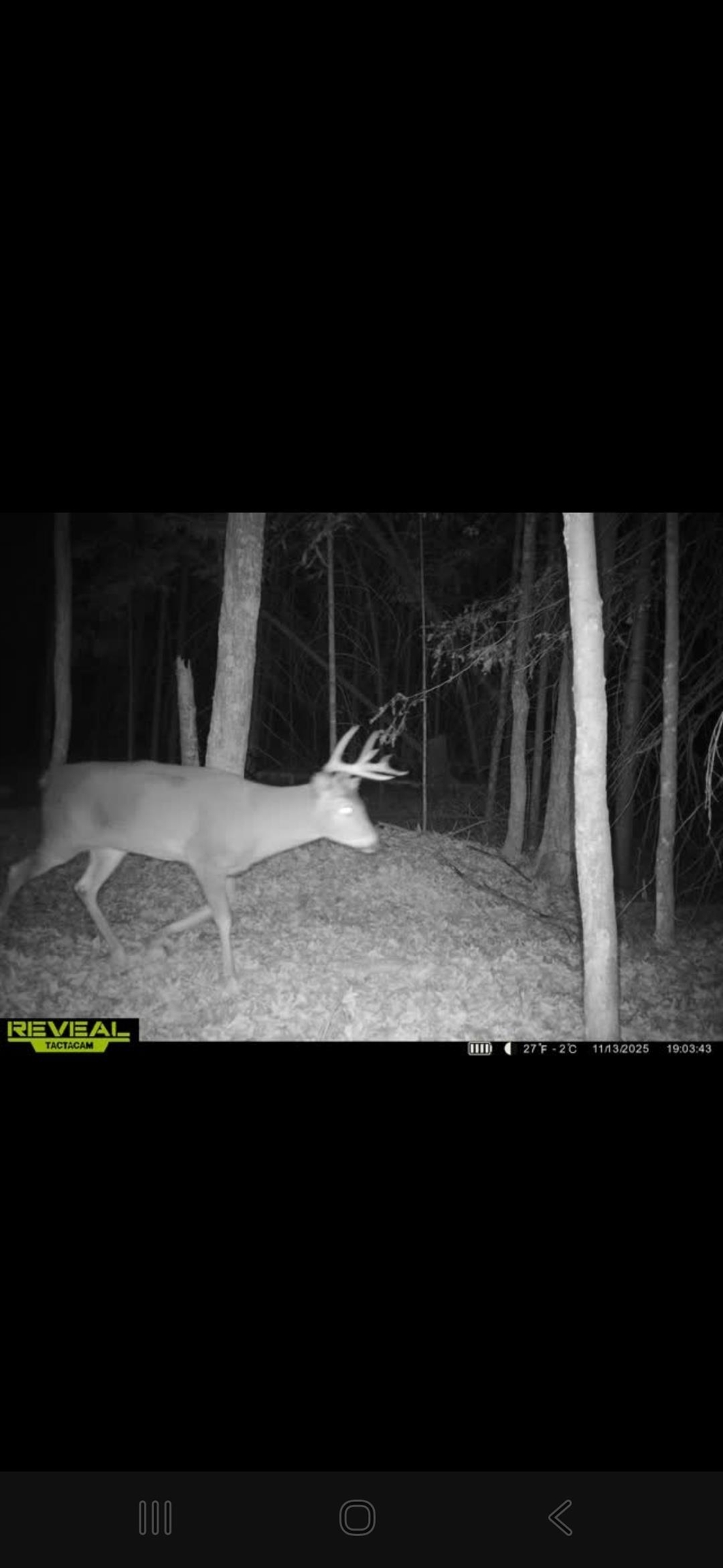 Aderman Lane Daggett, MI 49821 - Photo 6 of 7