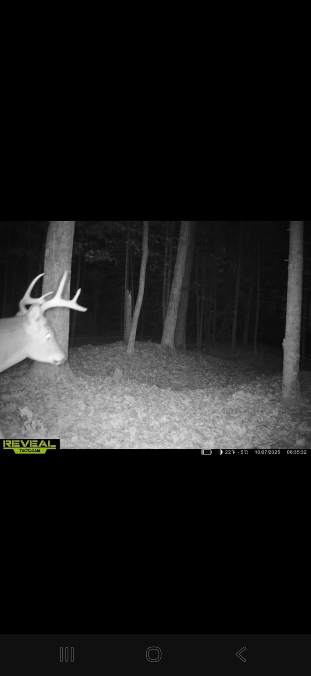 Aderman Lane Daggett, MI 49821 - Photo 7 of 7