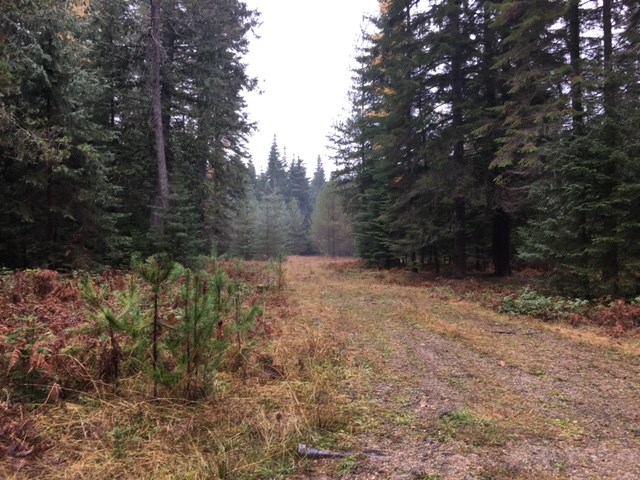 Nka Rustic Road Cusick, WA 99119 - Photo 1 of 3