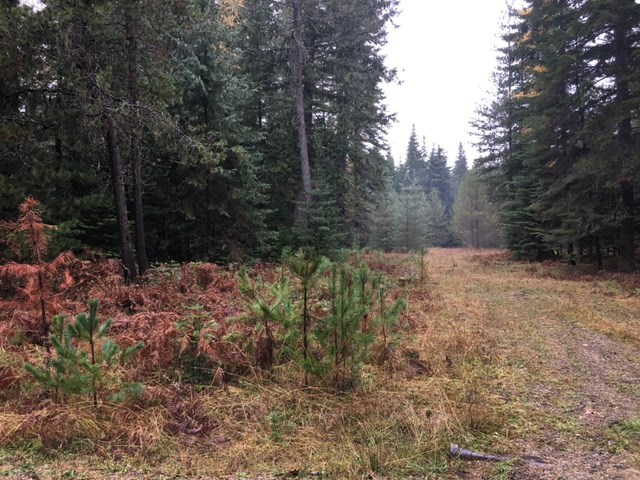 Nka Rustic Road Cusick, WA 99119 - Photo 2 of 3