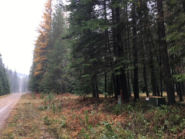 Nka Rustic Road Cusick, WA 99119 - Photo 3 of 3