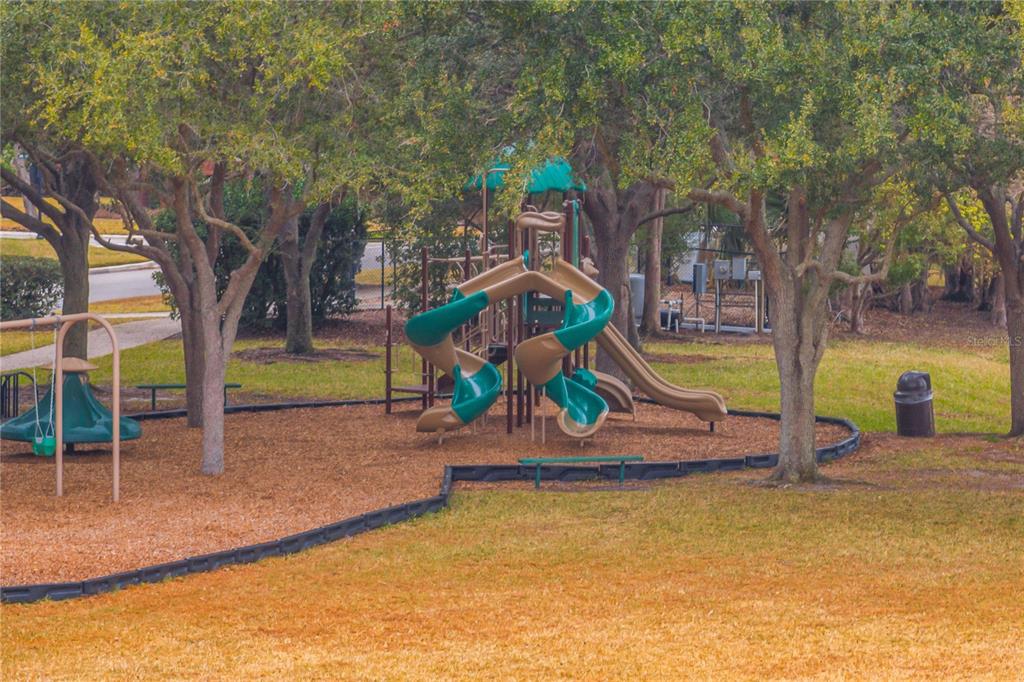 469 Mickleton Loop Ocoee, FL 34761 - Photo 16 of 19