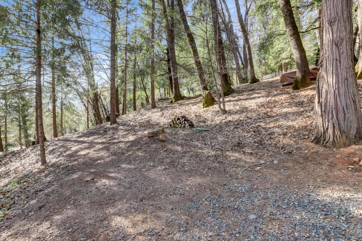 17028 Banner Quaker Hill Road Nevada City, CA 95959 - Photo 45 of 79